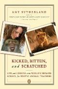 *kicked, Bitten and Scratched (07 Edition)