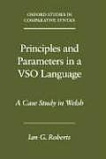Principles and Parameters in a Vso Language: A Case Study in Welsh (Oxford Studies in Comparative Syntax)