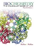 Biochemistry : Molecular Basics of Life (4TH 09 - Old Edition) Cover