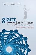 Giant Molecules: From Nylon to Nanotubes