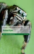 Animal Eyes