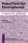 Practical Approach Series #158: Pulsed Field Gel Electrophoresis: A Practical Approach
