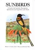 Sunbirds: A Guide OT the Sunbirds, Spiderhunters, Sugarbirds and Flowerpeckers of the World
