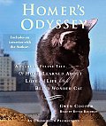 Homer's Odyssey: A Fearless Feline Tale, or How I Learned about Love and Life with a Blind Wonder Cat