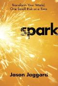 Spark: Transform Your World, One Small Risk at a Time Cover