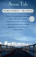 Storm Tide Cover