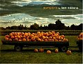 Pumpkins