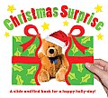 Christmas Surprise