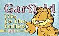 Garfield #34: Garfield Life to the Fullest
