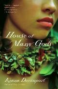 House of Many Gods Cover