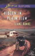 Hidden in Plain View (Love Inspired Suspense) Cover