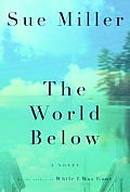 The World below: A Novel Cover