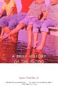 A Brief History of the Flood (Vintage Contemporaries) Cover