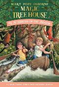 Magic Tree House #6: Afternoon on the Amazon Cover