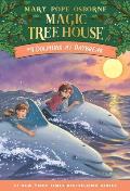 Magic Tree House #9: Dolphins at Daybreak Cover