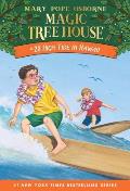 High Tide in Hawaii Cover