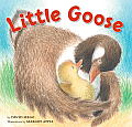 Little Goose Cover