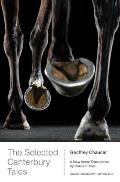 The Selected Canterbury Tales: A New Verse Translation