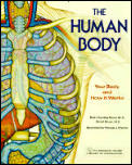 The Human Body