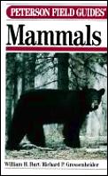 Field Guide to the Mammals