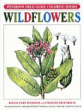 Wildflowers Cover
