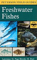 Peterson Field Guides #2: A Field Guide to Freshwater Fishes: North America North of Mexico