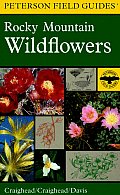 A Field Guide to Rocky Mountain Wildflowers: Northern Arizona and New Mexico to British Columbia (Peterson Field Guides)