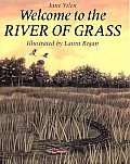 Welcome to the River of Grass Cover