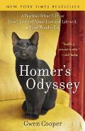 Homer's Odyssey Cover