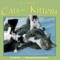 All about Cats and Kittens (All Aboard Books)