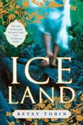 Ice Land Cover