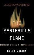The Mysterious Flame: Conscious Minds in a Material World Cover