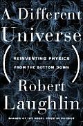 A Different Universe: Reinventing Physics from the Bottom Down Cover