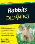 Rabbits for Dummies