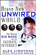Brave New Unwired World: The Digital Big Bang