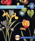 Flowers (Pictura)