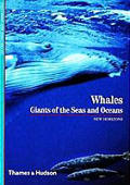 Whales Giants of the Seas & Oceans