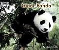 Giant Panda (Welcome Books: Animals of the World)