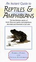 Instant Guide to Reptiles and Amphibians