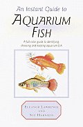 An Instant Guide to Aquarium Fish