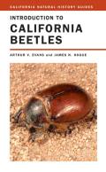 California Natural History Guides #78: Introduction to California Beetles