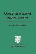 Group Structure of Gauge Theories