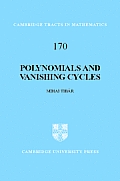 Cambridge Tracts in Mathematics #170: Polynomials and Vanishing Cycles