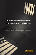 Criminal Disenfranchisement in an International Perspective Cover