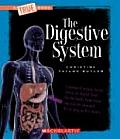 Digestive System Title