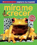 Scholastic Explora Tu Mundo: Mirame Crecer: Spanish Language Edition of Scholastic Discover More: See Me Grow (Scholastic Explora Tu Mundo)