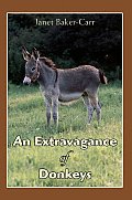 An Extravagance of Donkeys