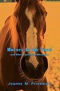 Horses In the Yard (and Other Equestrian Dilemmas)