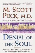 Denial of the Soul: Spiritual and Medical Perspectives on Euthanasia and Mortality Cover