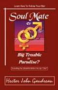 Soul Mate Cover